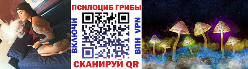 Галлюциногенные грибы Cubensis  Гремячинск 
